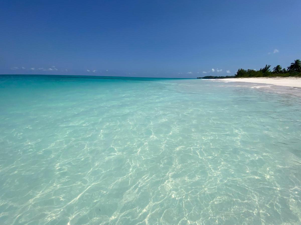 Eleuthera Retreat - Villa & Cottages On Pink Sand Beachfront Palmetto Point Eksteriør billede