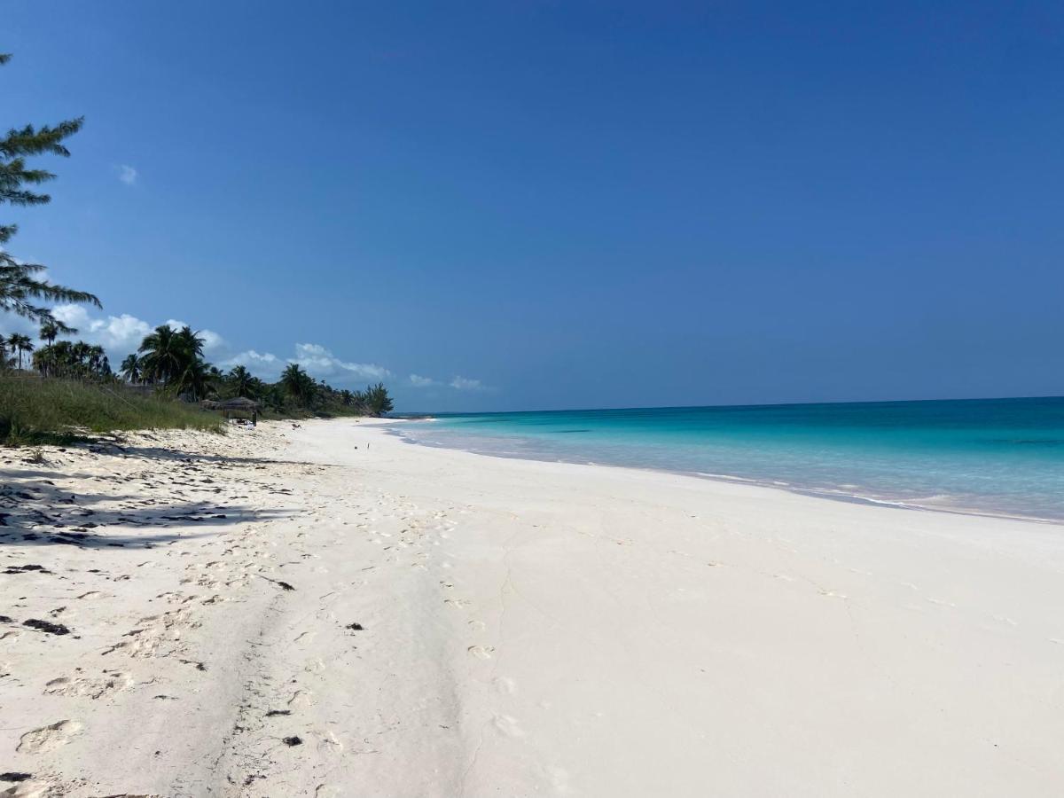 Eleuthera Retreat - Villa & Cottages On Pink Sand Beachfront Palmetto Point Eksteriør billede