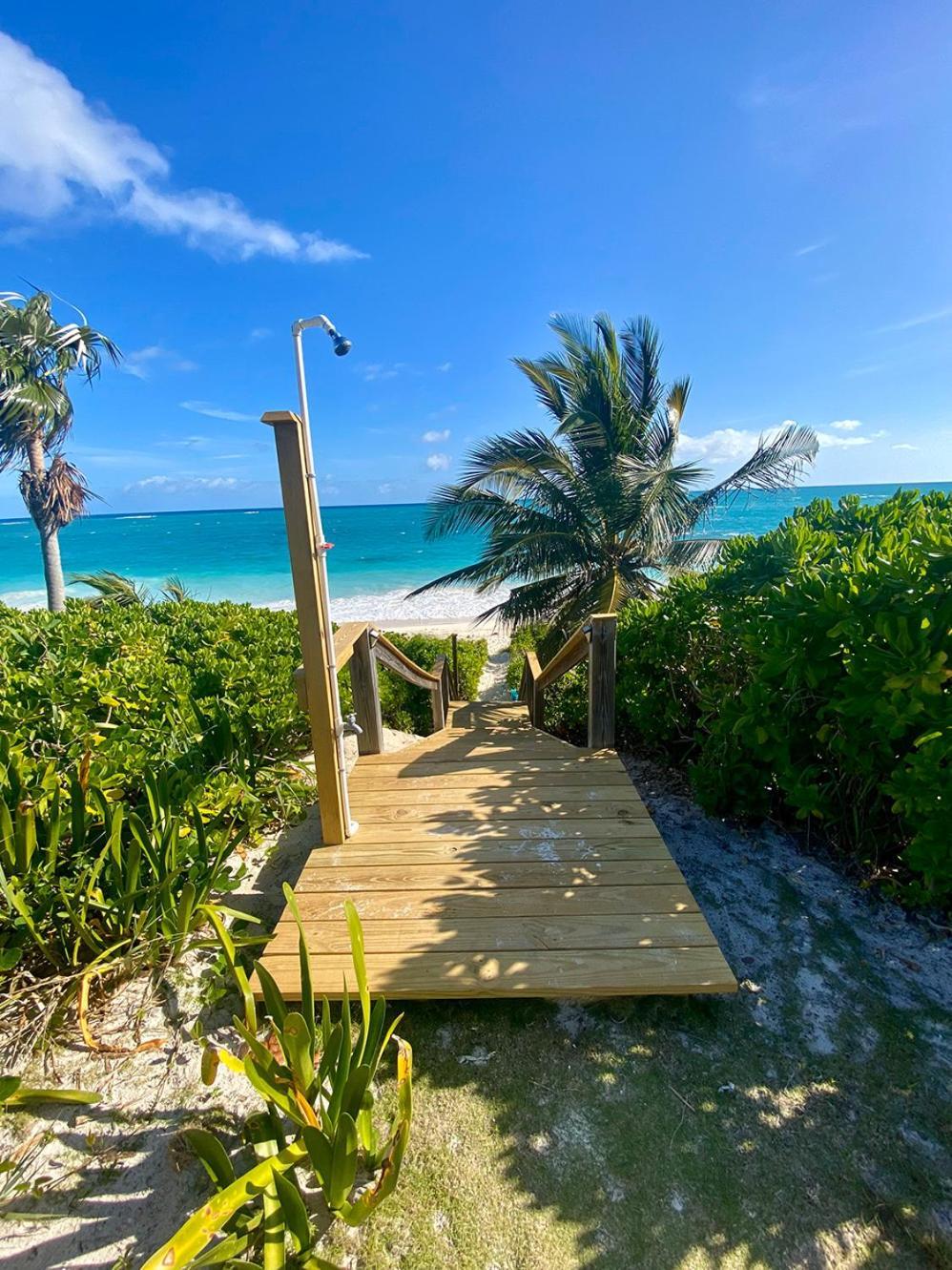 Eleuthera Retreat - Villa & Cottages On Pink Sand Beachfront Palmetto Point Eksteriør billede